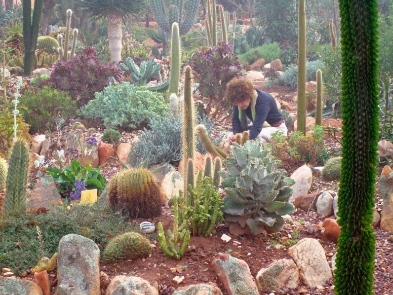 almost 2500 different species of succulent plants outdoors